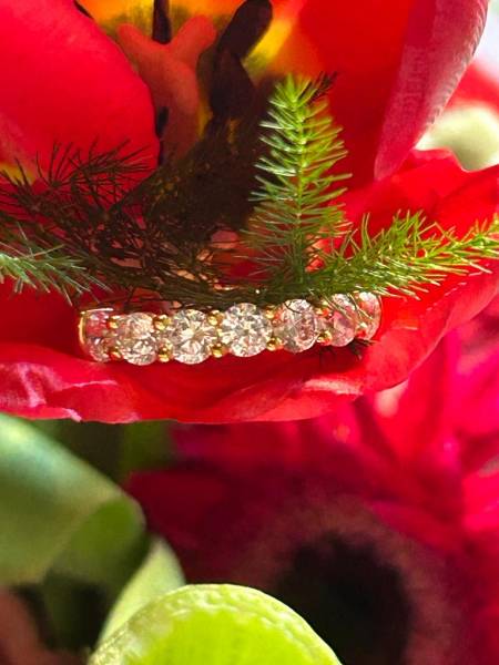 Création d'Alliances sur Mesure en Or 18K diamant à Salon de Provence