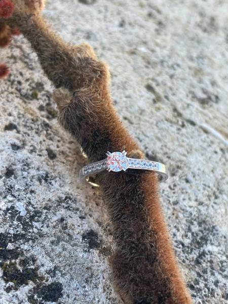 Élégance Intemporelle : Les Alliances en Or par Joyau d'or